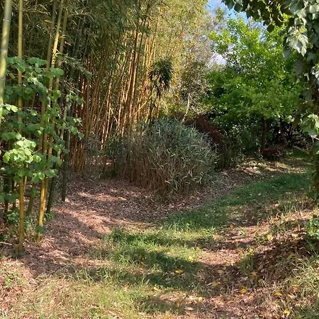 Demeure De Charme A La Campagne 別荘 Laruscade