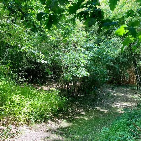 別荘 Demeure De Charme A La Campagne