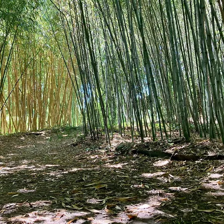 Demeure De Charme A La Campagne 度假居 *