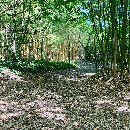 別荘 Demeure De Charme A La Campagne Laruscade