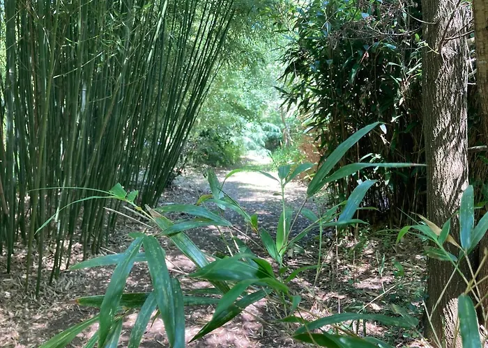 Demeure De Charme A La Campagne 度假居