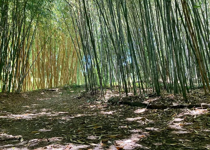 Demeure De Charme à La Campagne Casa de Férias *