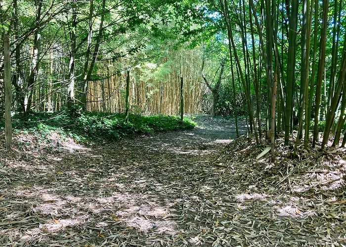 Casa de Férias Demeure De Charme à La Campagne Laruscade